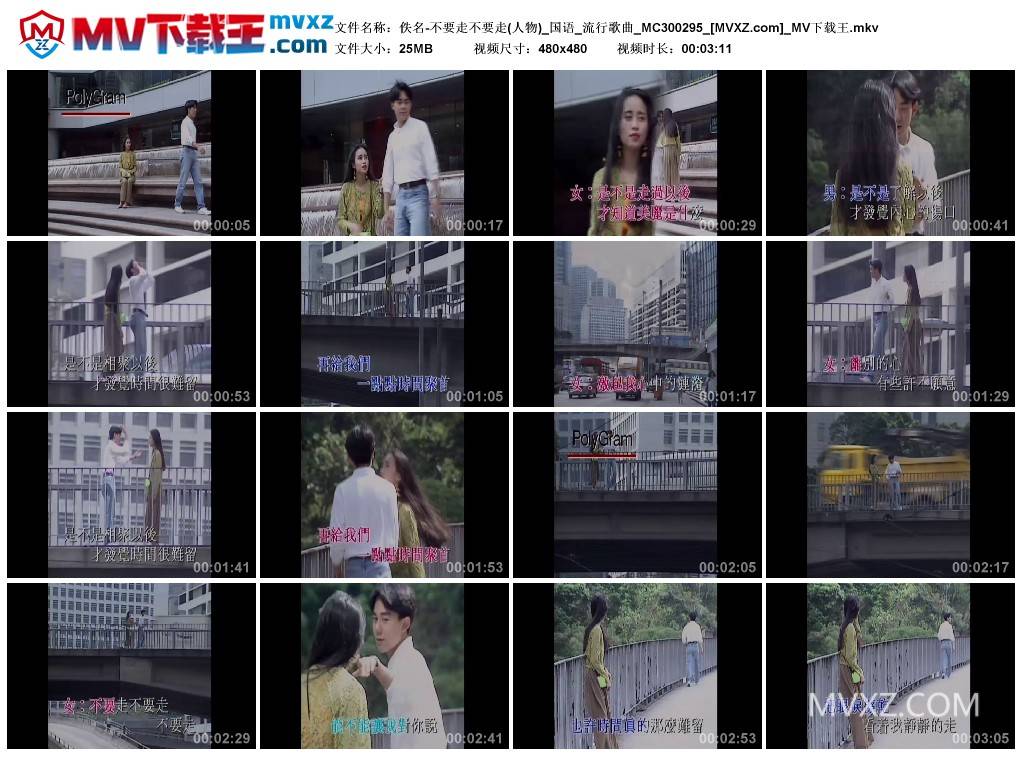佚名-不要走不要走(人物)_国语_流行歌曲_MC300295